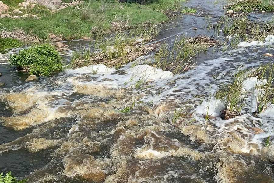 Agua contaminada